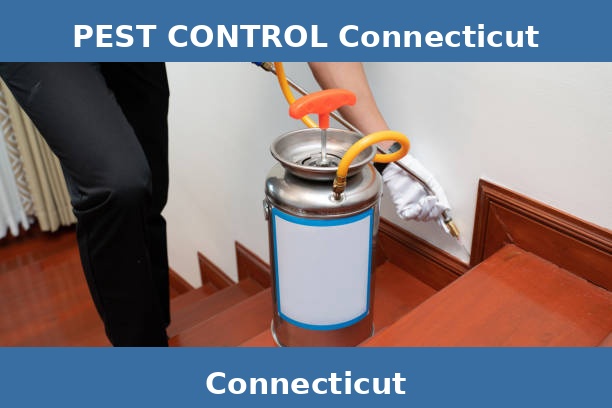PEST CONTROL Connecticut